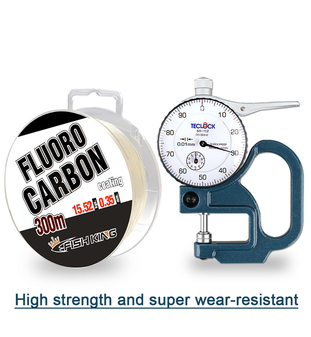 Vollflorocarbon-Angelschnur 30 – Fluorocarbon Line Bewertung und Preis
